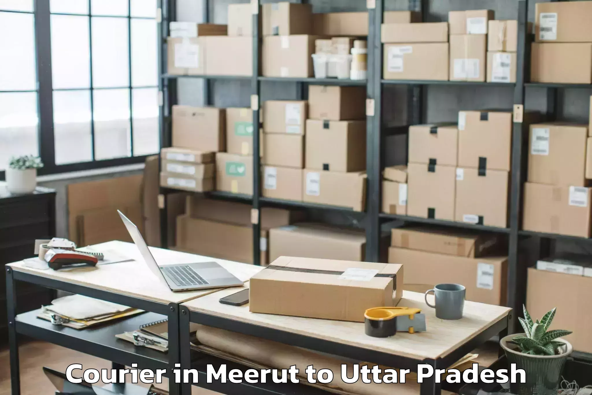 Reliable Meerut to Colonelganj Courier